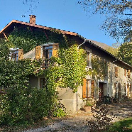 Villa L'âne à plumes à Coisia Extérieur photo